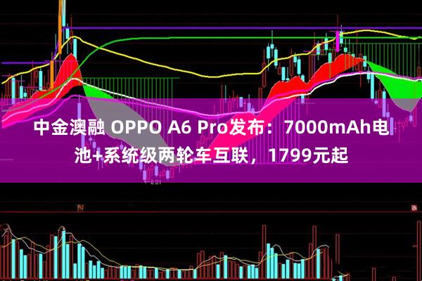 中金澳融 OPPO A6 Pro发布：7000mAh电池+系统级两轮车互联，1799元起