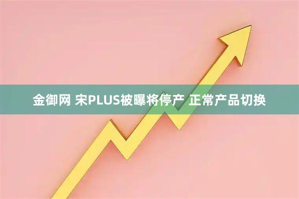 金御网 宋PLUS被曝将停产 正常产品切换