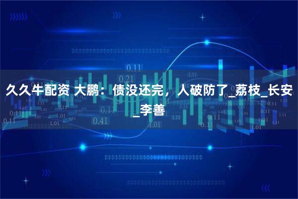 久久牛配资 大鹏：债没还完，人破防了_荔枝_长安_李善